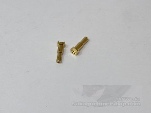 NoName 4/5mm Goldstecker Geschlitzt (2 Stck)