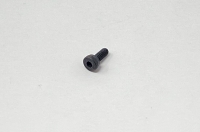 Steel M2 Cylinder Cap Screw M2x5mm ISO4762