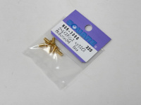 Square Steelscrew Gold M3 Button-Head 3x6mm (6 pcs.)
