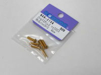 Square Steelscrew Gold M3 Button-Head 3x10mm (6 pcs.)