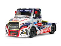 Tamiya 58661 TT-01E Buggyra Fat Fox Race Truck