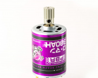 Pinebeach Raceway RS-380RMAH RO MANS 380S Motor Atsushi Hara Ed. / 15T 48dp Ritzel